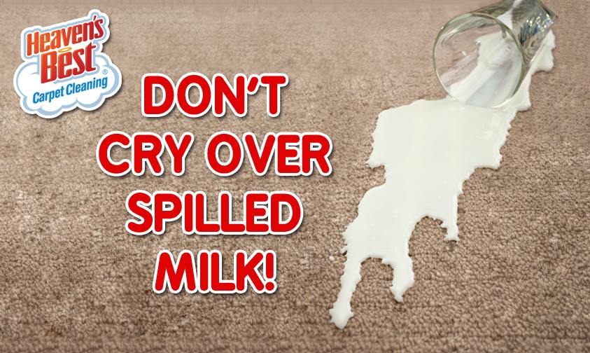 Affordable Carpet Cleaning Special in Hoover AL